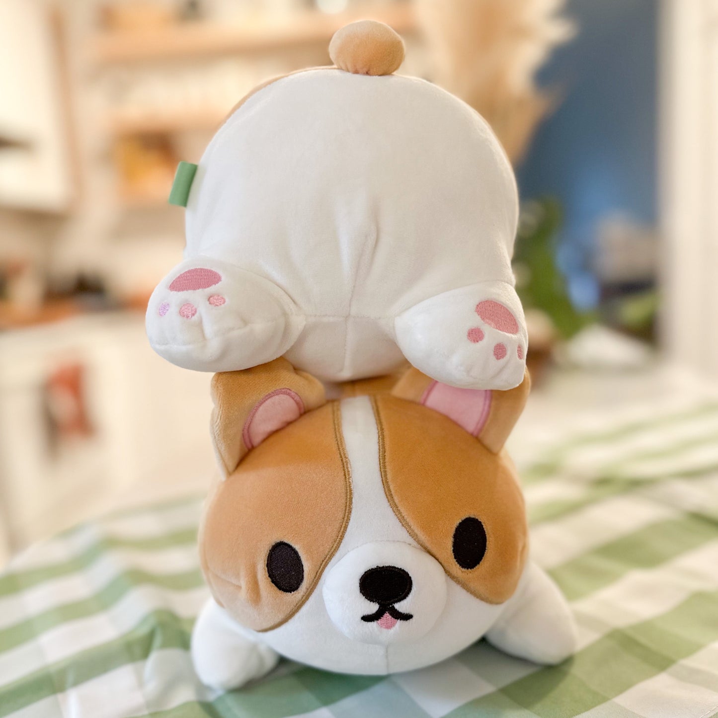 Charlie the Corgi Plushie